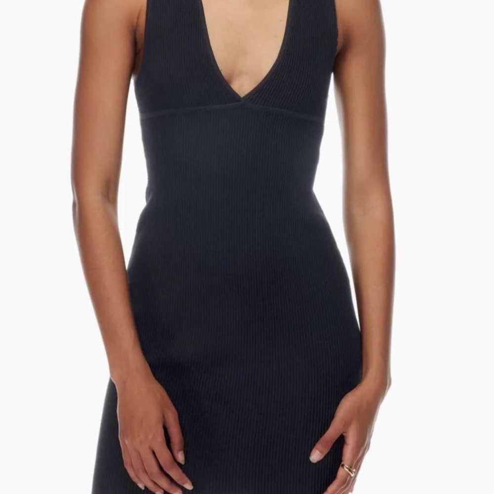 Aritzia Babaton Dress